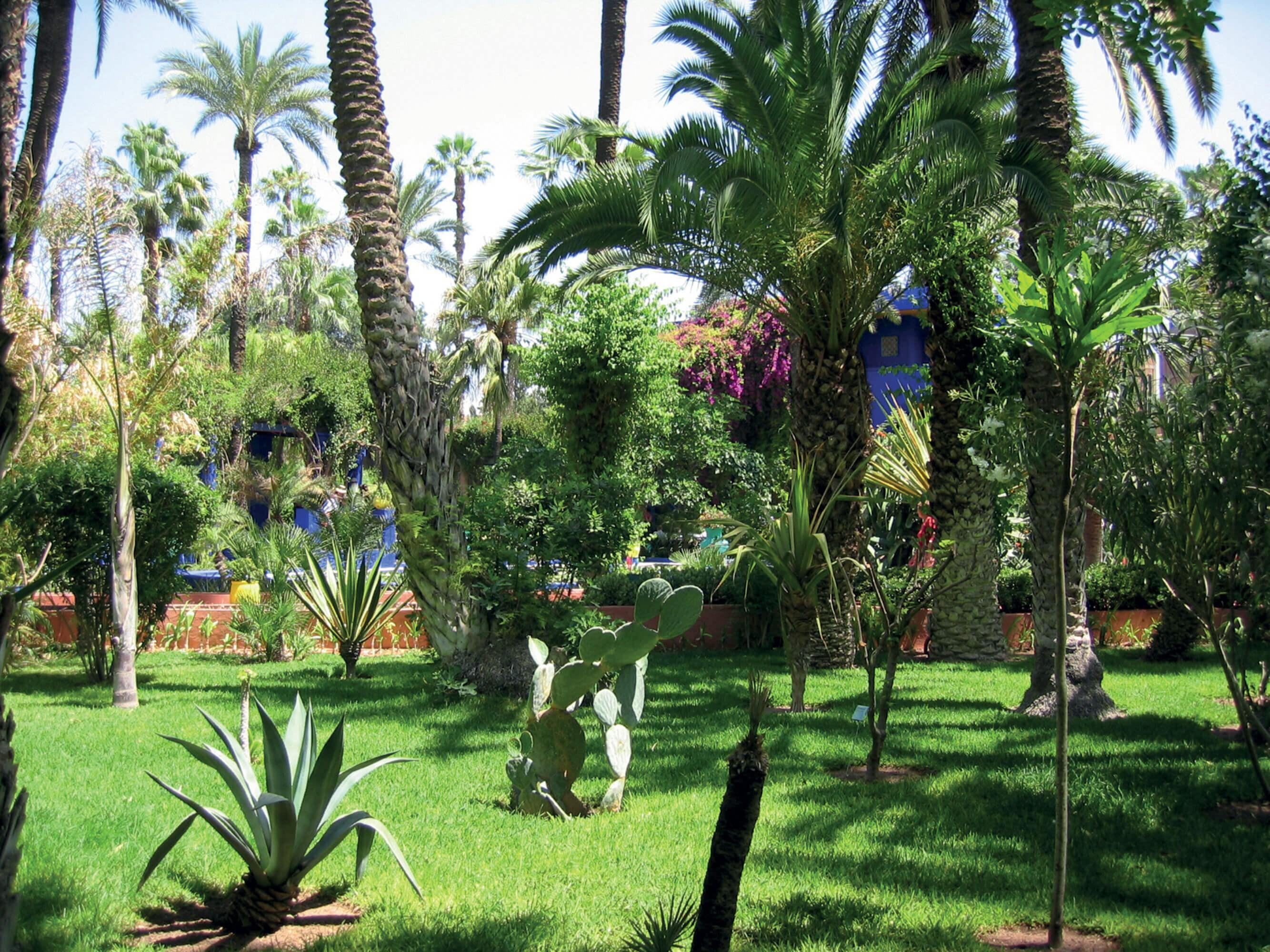 Gartenreise, ab Casablanca