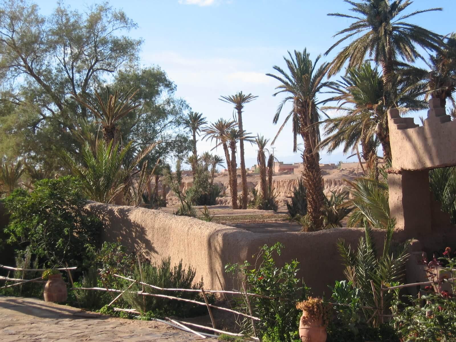 Oasis du Sud